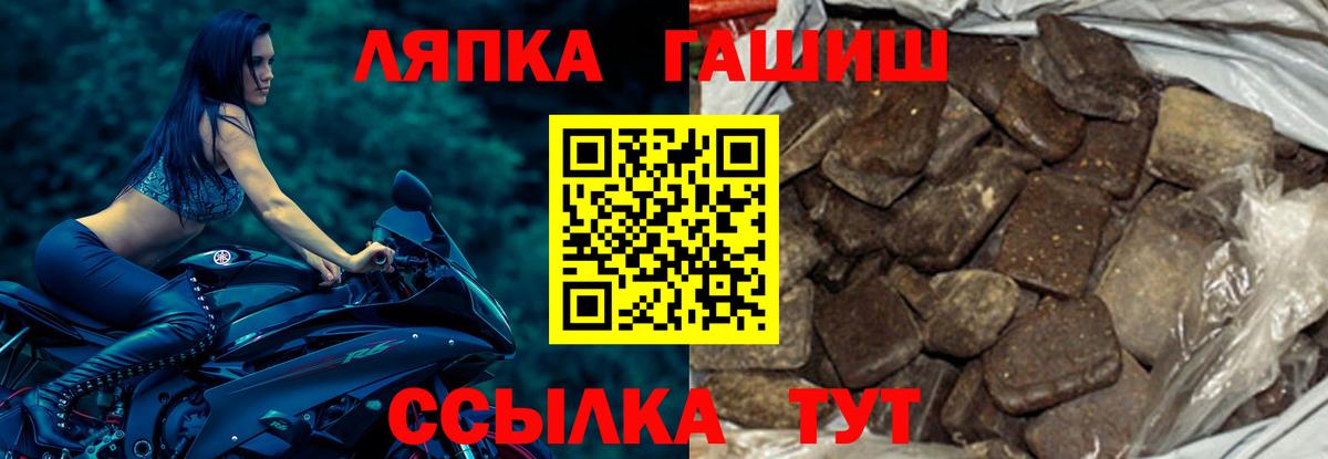Тара  ГАШ Premium  ГАШИШ hashish  ГАШИШ  Вход с VPN 