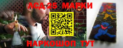 индика Новодвинск