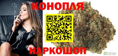 мдпв Новокубанск
