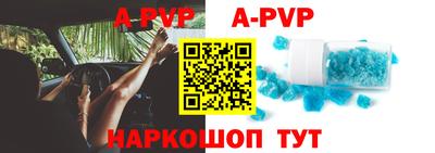 индика Новодвинск
