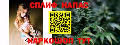 индика Новодвинск