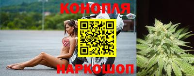 индика Новодвинск